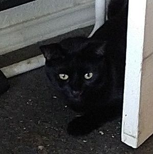 Meet your Posher, Dana